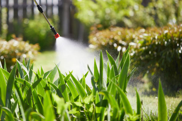 Tamper-Resistant Bait Stations for Rodents in Livermore