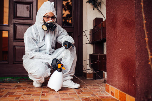 Attic and Crawl Space Rodent Treatment in Livermore