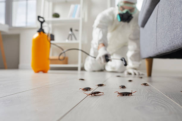 Commercial Rodent Management in Livermore